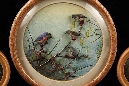 Eastern Bluebird and Young (7-inch)